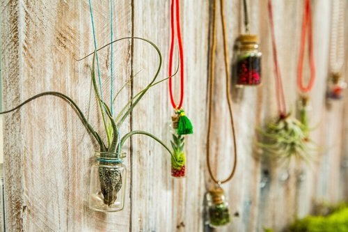 Necklace Bottles with Plants