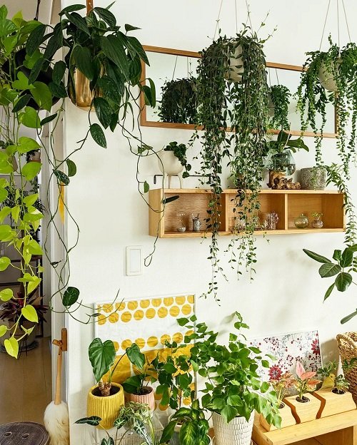 The Home Design Secrets of Plant Stylists 1