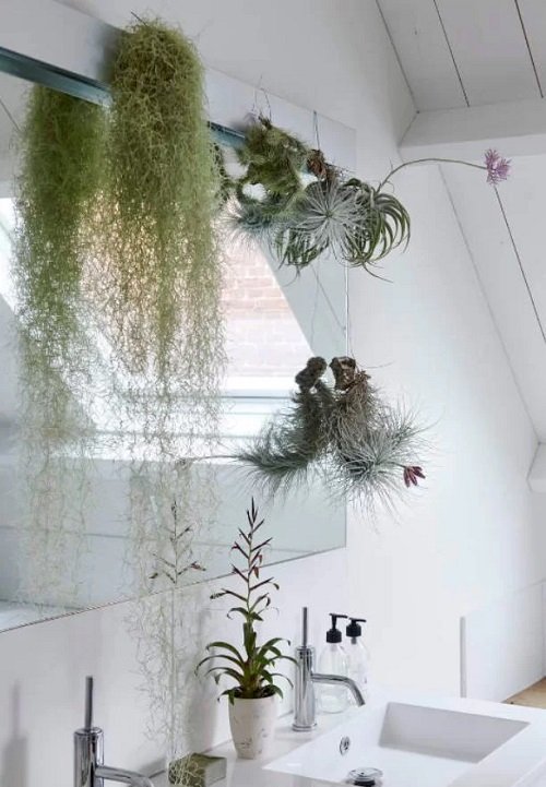 DIY Bathroom Planter Ideas 6