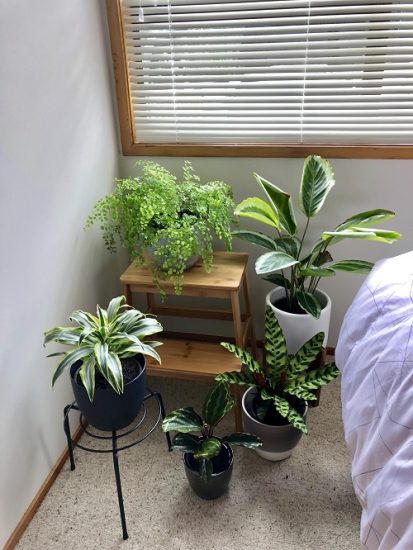 32 Tiny Nook Made into a Mini Garden Indoors Ideas