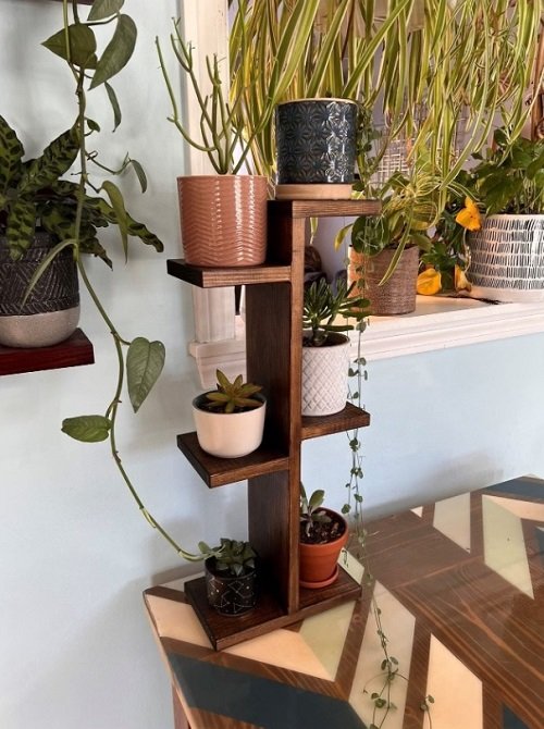 Plant Collection on the Wooden  Shelves