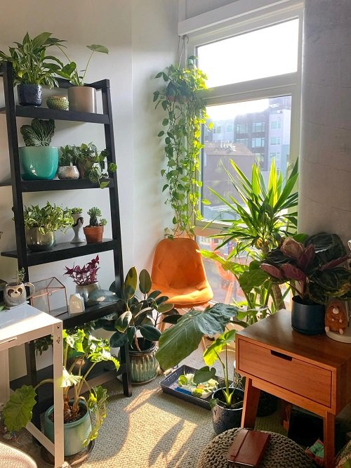 Tiny Nook Made into a Mini Garden Indoors Ideas 15