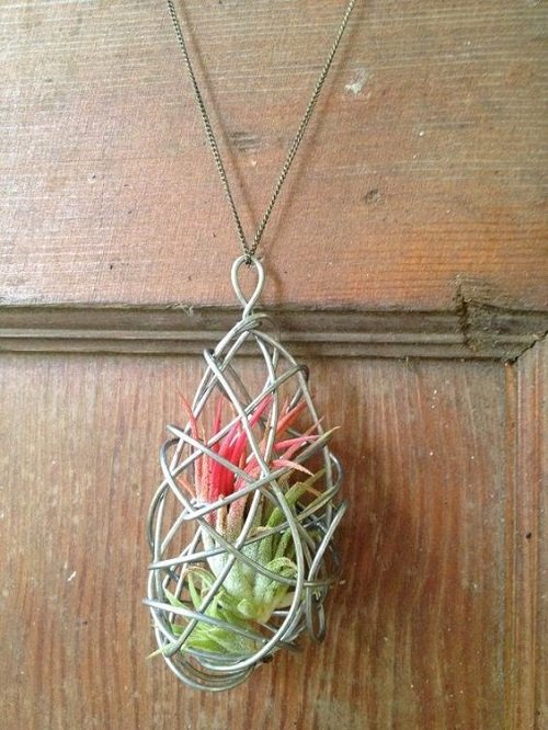 Succulent Necklace