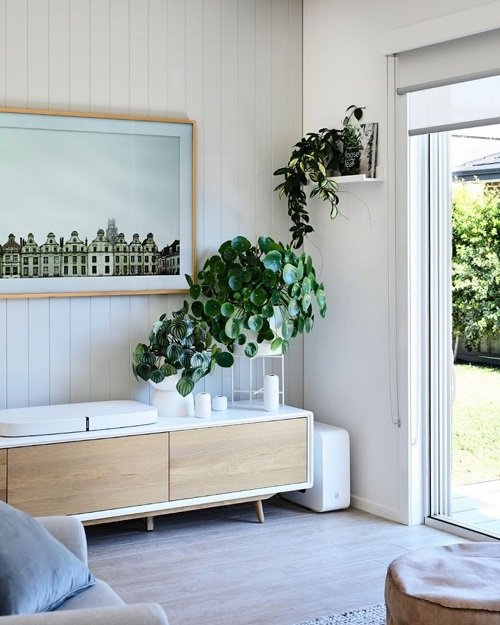 White Planters Plant Collection on the Shelves