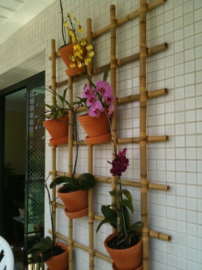 23 Balcony Orchid Garden Ideas | Balcony Garden Web