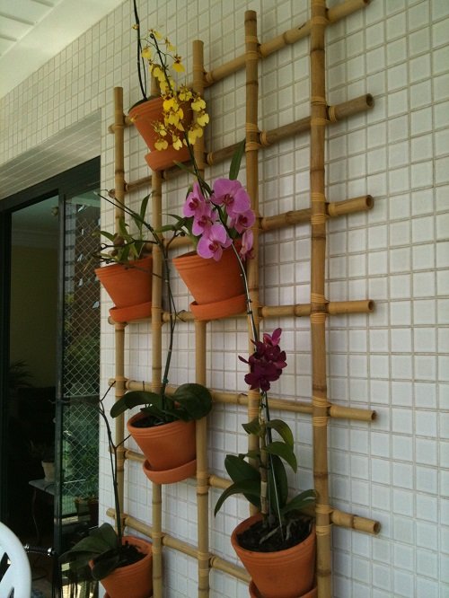 Balcony Orchid Garden 21