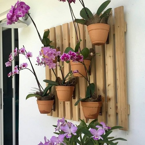 Ideas for a Balcony Orchid Garden 22