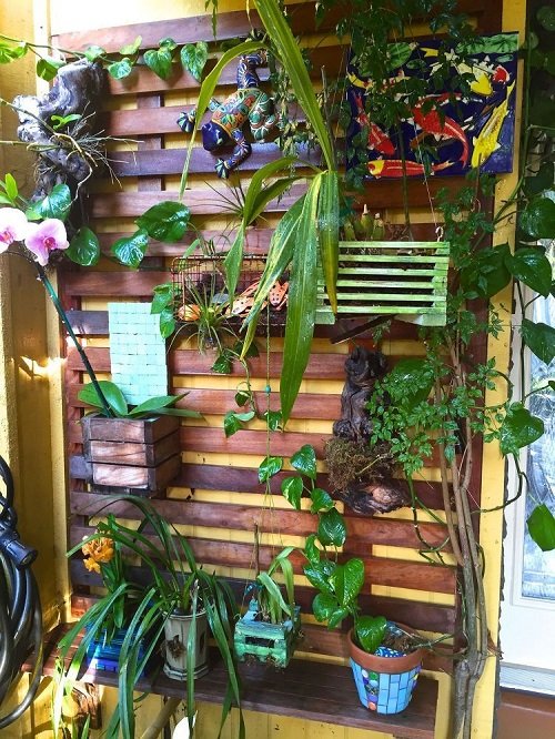 Balcony Orchid Garden Ideas 23