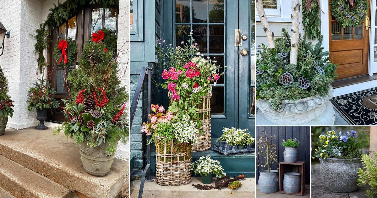 25 Best Winter Planters For Front Porch | Balcony Garden Web