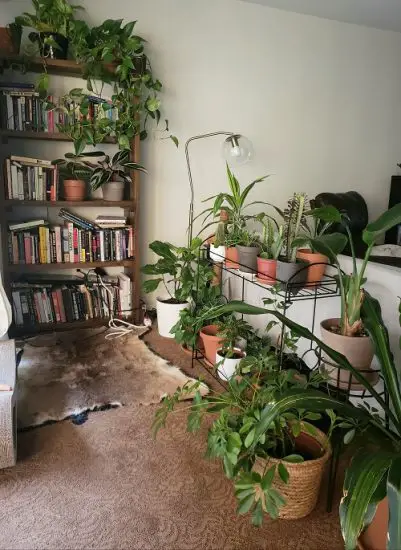 32 Tiny Nook Made into a Mini Garden Indoors Ideas