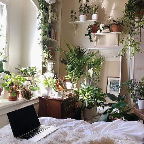 Tiny Nook Made into a Mini Garden Indoors Ideas 30