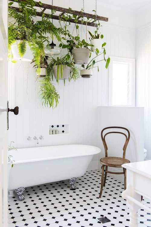 DIY Bathroom Planter Ideas 3