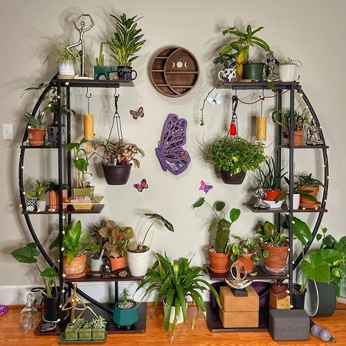 Plant Collection on Metal Shelves