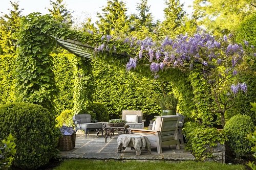 Fantastic Backyard Garden Ideas 2024