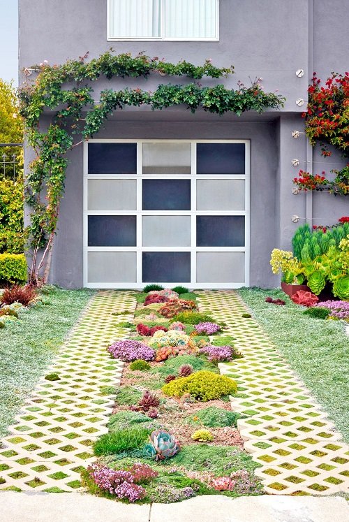 Succulents and Colorful Foliage Ideas for a Backyard Garden in 2024