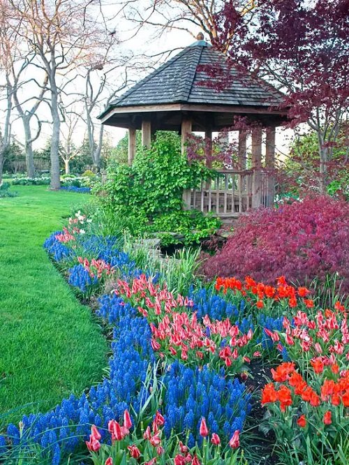 Flower Bed of Colorful Blooms backyard garden ideas in 2024