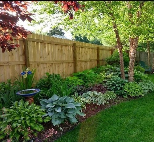 Flower bed Ideas for a Backyard Garden in 2024