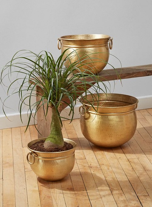 golden Containers with Handles