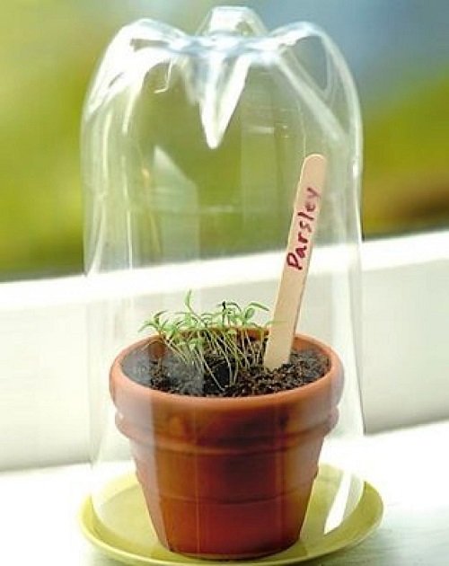 Genius Things to Do in Garden with Soda Bottles 