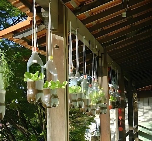 Hanging Soda Bottles in the Garden 