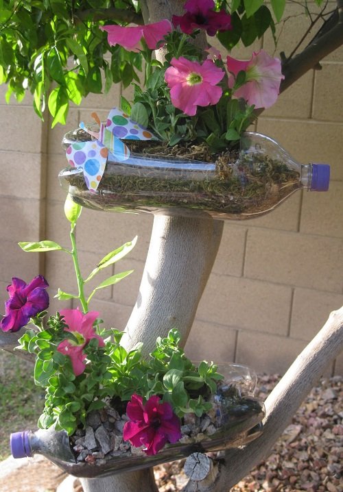 Genius Things to Do in Garden with Soda Bottles  1