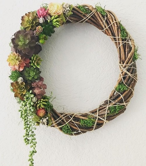 succulent With Grapevine Wreath Ideas
