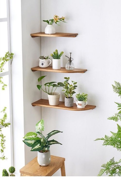 Wooden Corner Shelve Plant Collection on the 