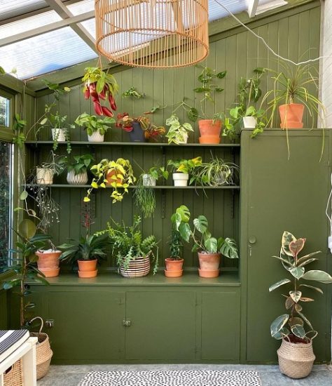 28 Plant Collection on the Shelves Pictures | Balcony Garden Web