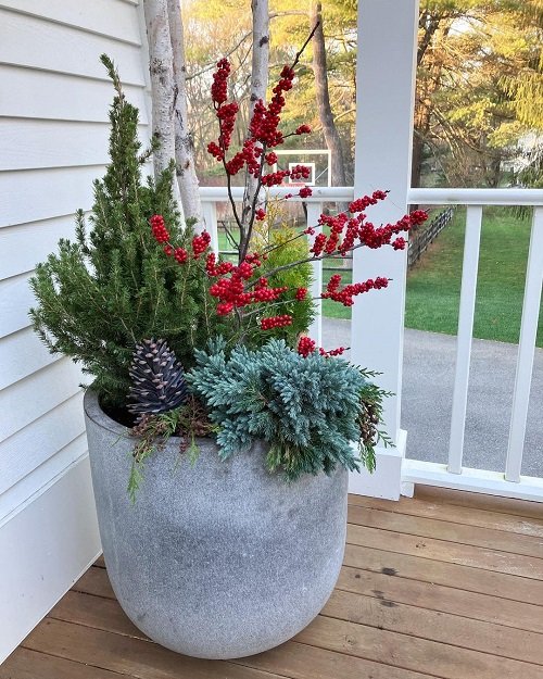 Best Winter Planters for Front Porch