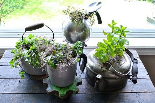 kettle planter as container with handle.