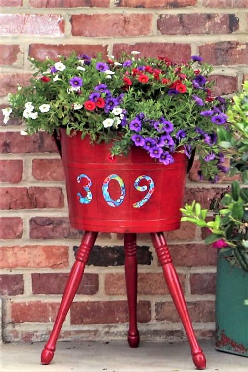 Regal Red Planter as container 