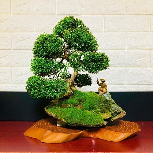 Shohin Bonsai Tree on figurine art