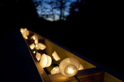 String Lights for garden party 