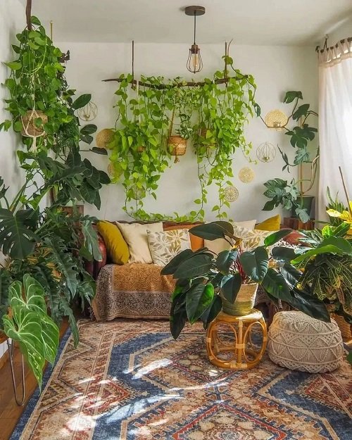 Pothos on a Suspended Twig with Other Trailing Plants Jungle Vibes 11