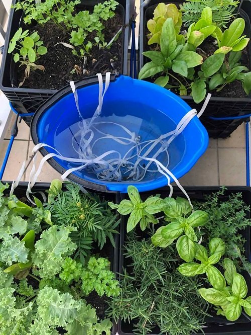 DIY Garden Watering Aid 13