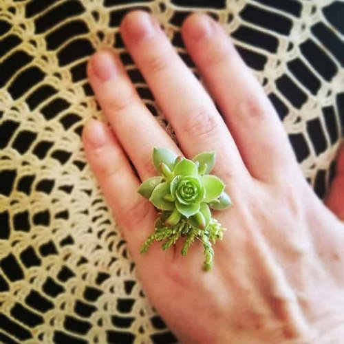 Succulent Ring Jewelry