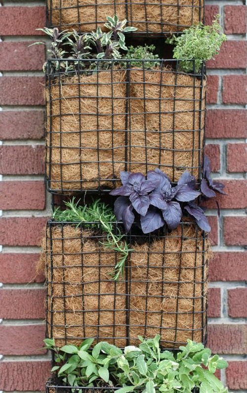 Wire wall Porch Herb Garden Ideas