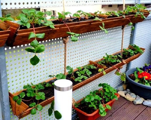 Best Tiered Garden Planter Ideas 19