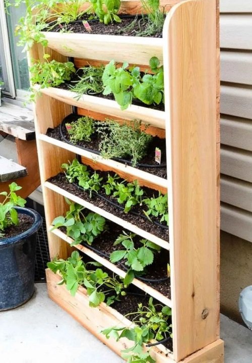Watering Systems You Can Create for Garden6