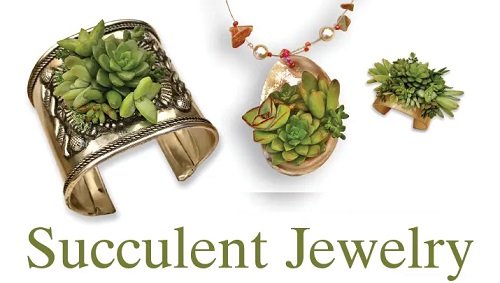 Succulent Bracelet