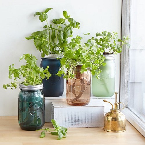 DIY Porch Herb Garden Ideas 5