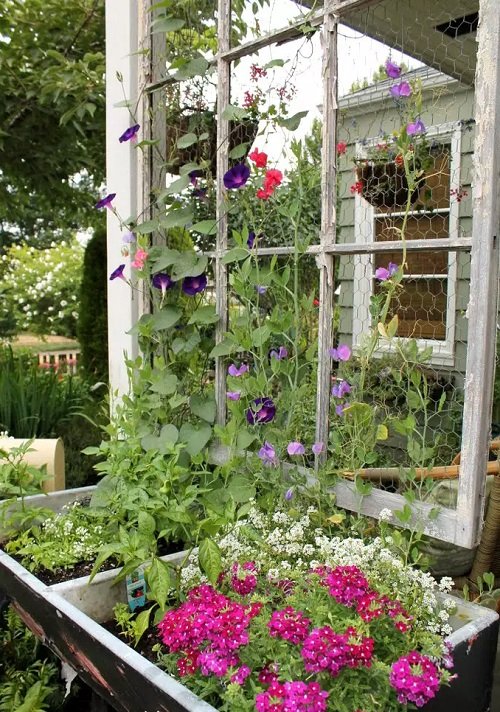 Best DIY Trellis for Plants Ideas