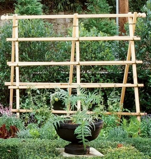 Ladder Garden Trellis for plant idea