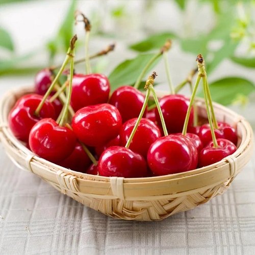 Best Types of Cherries to Grow in Pots 32