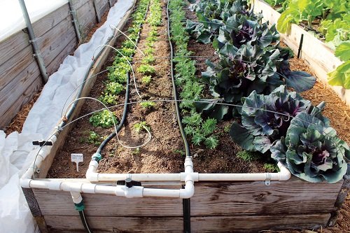 Watering Systems You Can Create for Garden with pvc pipe