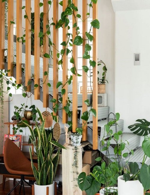 Amazing Indoor Vines on the Staircase Ideas