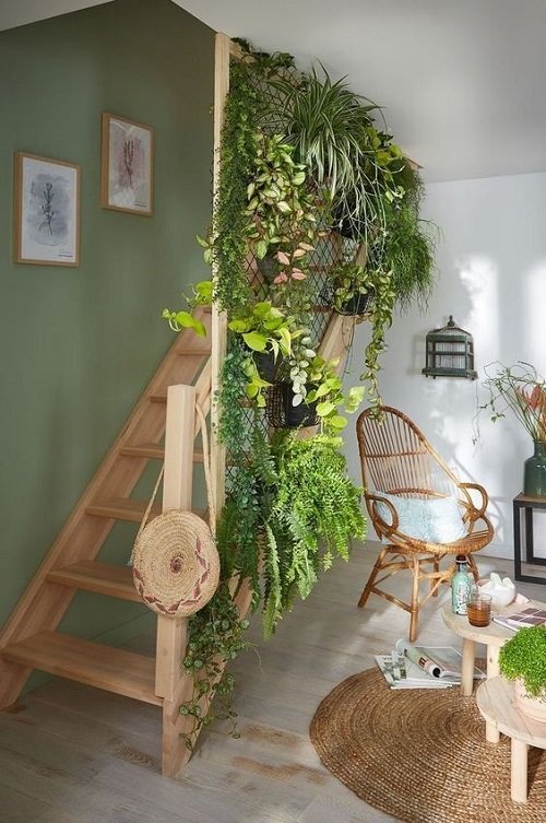 Wonderful Indoor Plants for the Stairs