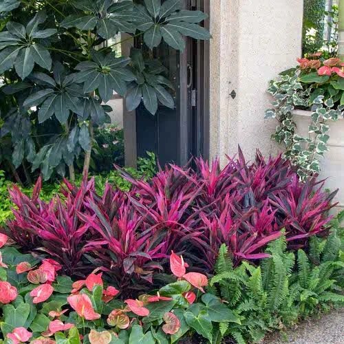 34 Beautiful Landscaping with Purple Plants Ideas