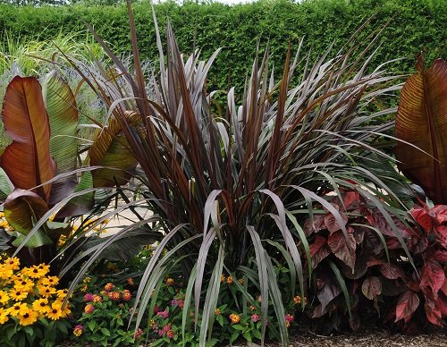 Ideas for Purple Plant Landscaping7