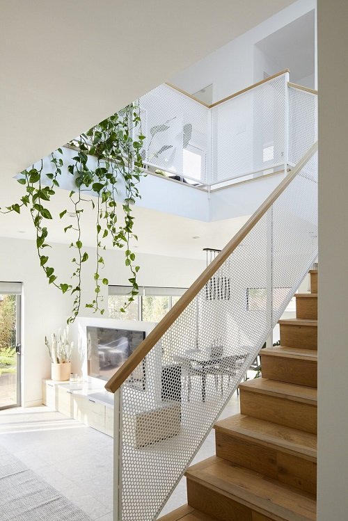Wonderful Indoor Vines for the Stairs Ideas